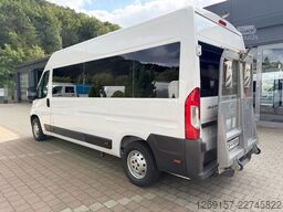 FIAT Ducato Kasten Bus 7-Sitze L3H2 Rollstuhlrampe