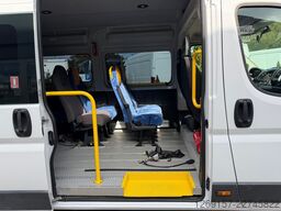 FIAT Ducato Kasten Bus 7-Sitze L3H2 Rollstuhlrampe