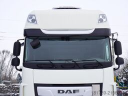 DAF XF 480 6x2 E6 / Schmitz 19 EPAL Doppelst