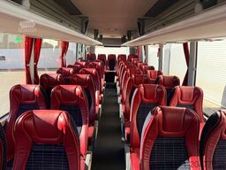 TEMSA MD9 || 39+1+1 Sitze