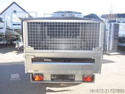 Brenderup 2000 Kg Heckkipper Laubgitter Plane