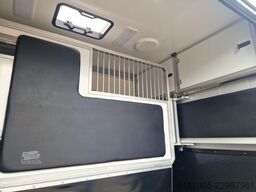 Ford Transit STX Automaat hengsten uitvoering paarde...