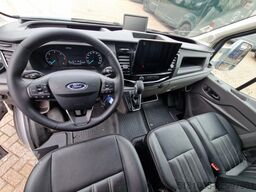 Ford Transit STX Automaat hengsten uitvoering paarde...