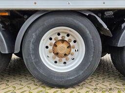 REISCH RSBS-25/24LK / Alu-Felgen / Lift / eletr. Dach