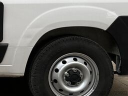 Fiat Weinsberg Carabus 600 K | 4 Posti Letto | Completamente Attrezzato