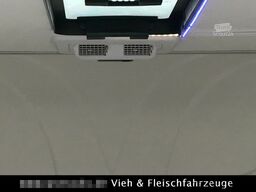 Speziell Kleintier Klima Heizung Autak