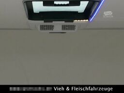 Speziell Kleintier Klima Heizung Autak