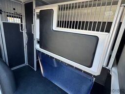 RENAULT Master ZF 9-GANG AUTOM. 2025er STX 5-Haras LONG