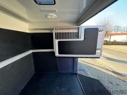 RENAULT Master ZF 9-GANG AUTOM. 2025er STX 5-Haras LONG