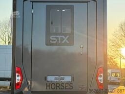 RENAULT Master ZF 9-GANG AUTOM. 2025er STX, 3-Haras