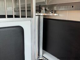 RENAULT Master ZF 9-GANG AUTOM. 2025er STX, 3-Haras