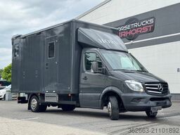 MERCEDES-BENZ Sprinter 3L V6,2-Pferdetransporter m.kl. Wohnung