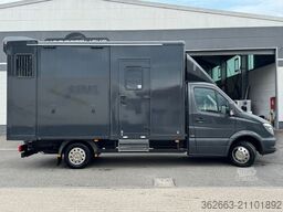 MERCEDES-BENZ Sprinter 3L V6,2-Pferdetransporter m.kl. Wohnung