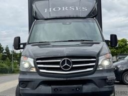 MERCEDES-BENZ Sprinter 3L V6,2-Pferdetransporter m.kl. Wohnung