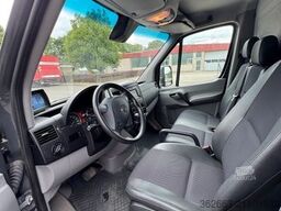 MERCEDES-BENZ Sprinter 3L V6,2-Pferdetransporter m.kl. Wohnung