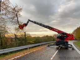 Magni RTH 6.30 SH / Fällkran / Westtech CS750