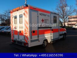 MERCEDES-BENZ Sprinter II 316 CDI/RTW/Klima/Kamera/FN: 36-05