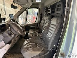 Peugeot Equi-Trek 4x2 horse truck with space for 2 horses