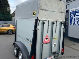 HUMBAUR Alu Single 1,5 er # 100 km/h Zulassung