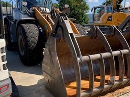 Liebherr L 550 XPower