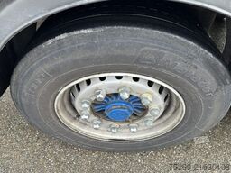 Schwarzmüller SPA 3/E Carrier 1950 / Swiss-Vehicle