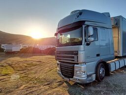 DAF TORTON 40m² EXPANDABLE + XF105 460