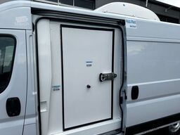 FIAT Ducato Isberg Pharma-Kühler -30°C/4°C/22°C