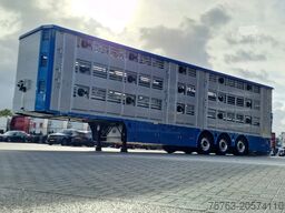 Pezzaioli New 3 stock livestock trailer 95.4M2 - Water & ...