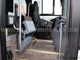 Iveco Evadys 12m / NEW / Rear door / 6x Units / 3-poi...
