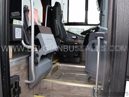 Iveco Evadys 12m / Rear door / 3-point seat belts / N...