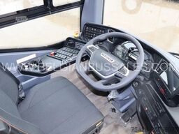 Iveco Evadys 12m / Rear door / 3-point seat belts / N...