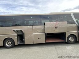 MAN R 08 Lion´s Coach