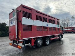 SCANIA 94 D 260 3 ASSI 6X2 TRASPORTO ANIMALI