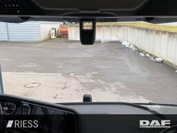 DAF XF 350 FT Electric AUT z DynLicht LED LM