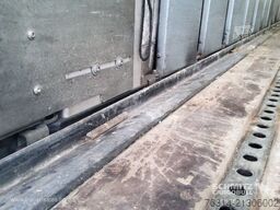 Kögel Curtainsider Standard