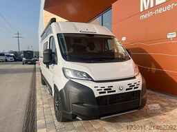 CHAUSSON V594 max