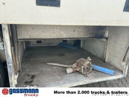 KWB, P-393-STI-R-1, 2x Lenkachse,