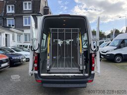 VW L2H2  LIFT   RAMPE   ROLLSTUHL   6 SITZE   KLIMA