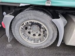 DAF XF 480 SSC,Standklima,Intarder mit Krone kompl