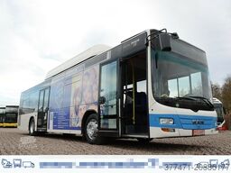 MAN A20 / Lion´s City Ü / CNG / EEV