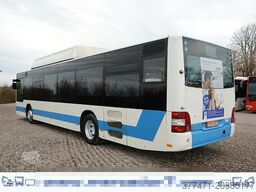 MAN A20 / Lion´s City Ü / CNG / EEV