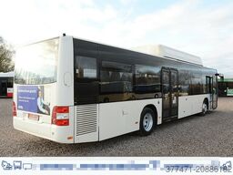 MAN A20 / Lion´s City Ü / CNG / EEV