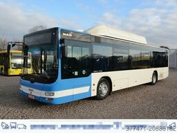 MAN A20 / Lion´s City Ü / CNG / EEV
