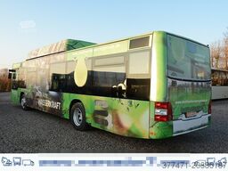 MAN A20 / Lion´s City Ü / CNG / EEV
