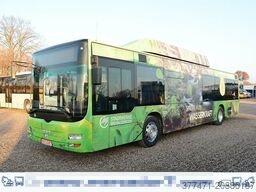 MAN A20 / Lion´s City Ü / CNG / EEV