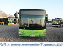 MAN A20 / Lion´s City Ü / CNG / EEV