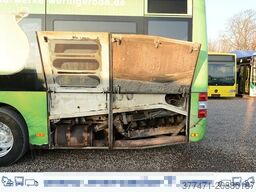 MAN A20 / Lion´s City Ü / CNG / EEV