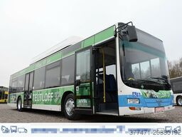 MAN A20 / Lion´s City Ü / CNG / EEV