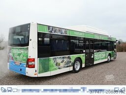 MAN A20 / Lion´s City Ü / CNG / EEV