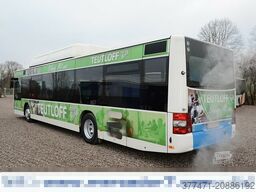 MAN A20 / Lion´s City Ü / CNG / EEV